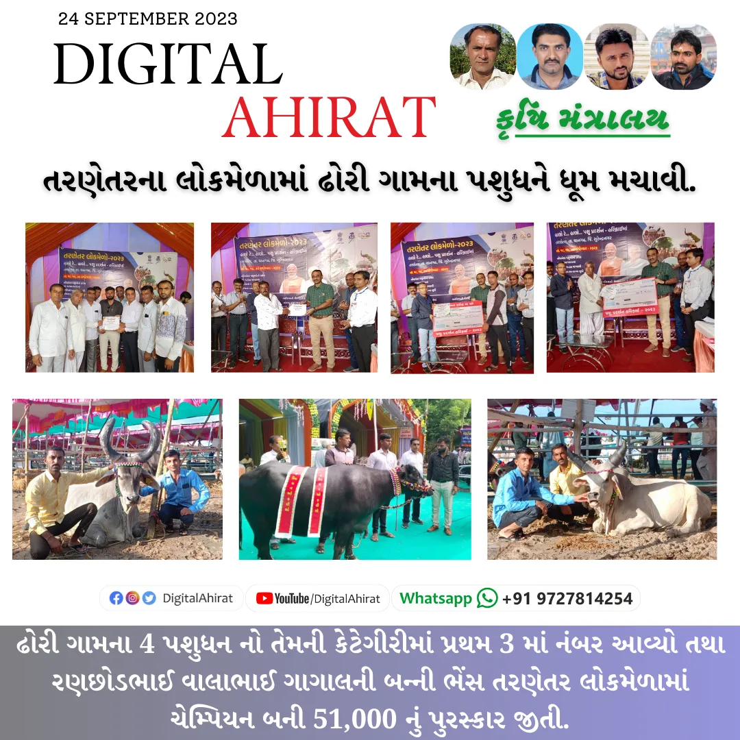 તરણેતરના લોકમેળામાં ઢોરી ગામના પશુધને ધૂમ મચાવી.